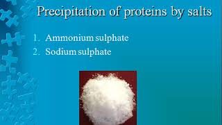 isolation of casein from milk Bpharm 4th semester experiment [upl. by Karlen]