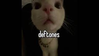 All Deftones discography played all at once [upl. by Vories]