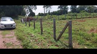 1Acre Red soil land sale near mysore gaddige road 58 lakhs per Acre slightly nego vijay 97409 19151 [upl. by Coleen392]