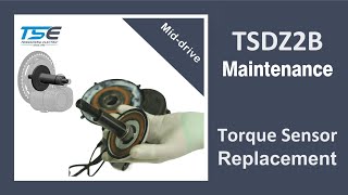 Tongsheng TSDZ2B Torque Sensor Replacement [upl. by Grondin]