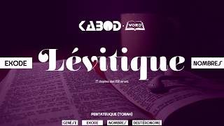 « Lévitique »  LAncien Testament  La Sainte Bible audio VF Complète [upl. by Dnomso480]