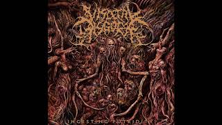 Visceral Disgorge  Force Fed Shredded Genitalia  DRUMS Only [upl. by Persse437]