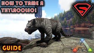 ARK HOW TO TAME A THYLACOLEO 2020  EVERYTHING YOU NEED TO KNOW ABOUT TAMING A THYLACOLEO [upl. by Llerrad]