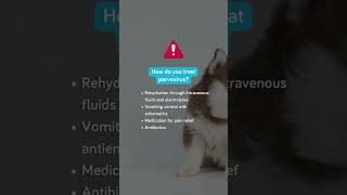 Do you know how parvovirus is treated [upl. by Lirva]