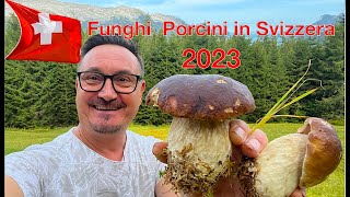 Funghi Porcini trovati in Svizzera 2023 [upl. by Elleirbag]