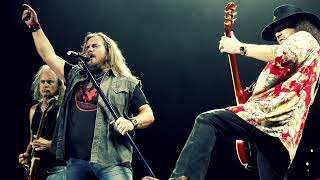 Lynyrd Skynyrd  Simple Man Live [upl. by Einolem]