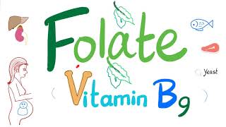 Vitamin B9 Folate 🥬  Folic  Structure Function Folate Deficiency Anemia Diagnosis amp Treatment [upl. by Amal]