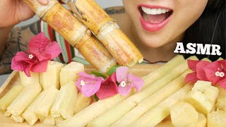 ASMR JUICY FRESH SUGARCANE TINGLES CRUNCHY EATING SOUNDS NO TALKING  SASASMR [upl. by Nyledam]