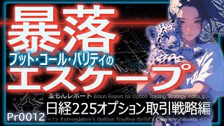 Pr0012【実践オプション取引解説02】プットとコールの関係を初心者にわかりやすく解説 [upl. by Shing287]