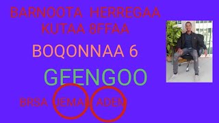 BOQONNAA 6 BARNOOTA HERREGAA KUTAA 8FFAA GEENGOO [upl. by Peugia139]