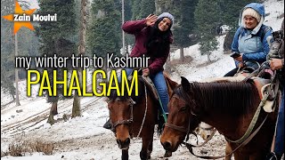 PAHALGAM  Vlog 57  MY WINTER TRIP TO KASHMIR  ZainMoulvi SRproductionMumbra [upl. by Oer]