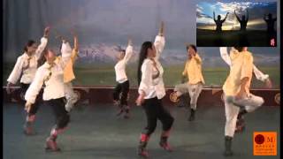 Tibetan circle dance 2013  Dance Together  Club [upl. by Zilvia103]