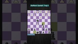 Stafford Gambit Trap  chess chessgame chesscom chessboxing chesswin chesstraps chesstactics [upl. by Lairea]