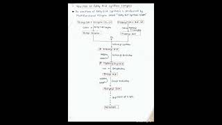 De novo Synthesis of fatty acid Palmitic acid biochemistry bpharmacy trendinghandwritten note [upl. by Llekcir362]