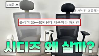 욕먹어도 잘 팔리는 시디즈 의자 리뷰ㅣ20만원 vs 30만원 가격대별 컴퓨터 사무용 의자 비교 l 시디즈 T50 l 의자 추천 사용법 [upl. by Dowlen]