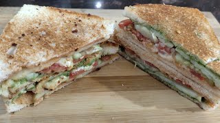 Street Style Veg Sandwich  Cheese Sandwich Recipe [upl. by Edlun]