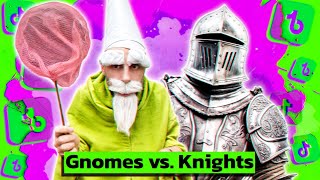 Tiny Green Wizard Gnome vs Knights Explained [upl. by Aznola]