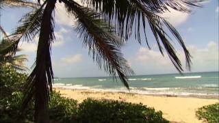 Unspoiled Beaches of Vieques  Caribbean Life  HGTV Asia [upl. by Leo]