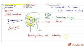 Haustoria formation is often seen associated with [upl. by Laddy]