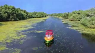 The Gorgeous Danube Delta in 4k  from Tulcea Romania [upl. by Ecirtak]