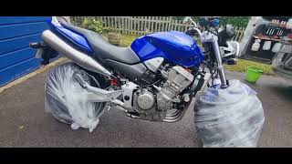 Honda Hornet 900 Winter Protection acf50 ceramiccoating sussexmotorcyclevalet [upl. by Hamford]