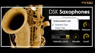 DSK Saxophones  Free VST  myVST [upl. by Malvie]