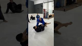 Passagem de guarda “toreando” jiujitsu bjj [upl. by Orelle]