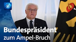 Steinmeier appelliert nach Koalitionsende an Verantwortung aller Beteiligten [upl. by Stannfield]