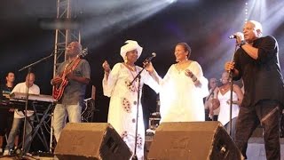 Kassav et lAfrique  un lien unique et des concerts mythiques [upl. by Nial]