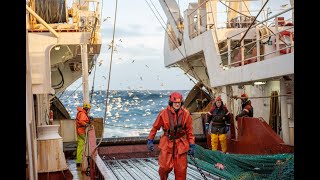 Ráðgjöf nytjastofna fyrir fiskveiðiárið 20242025 [upl. by Bell]