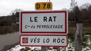 Le Rat Peyrelevade Corrèze [upl. by Assenov]