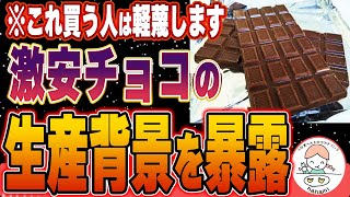 【衝撃】安いチョコの購入が子供を不幸にしています。値段だけで決めてはいけないチョコレートの悲惨な生産背景とは [upl. by Ennovaj]