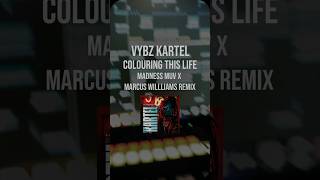 Vybz Kartel  Coloring This Life Madness Muv X Marcus Willliams Remix [upl. by Adiehsar]