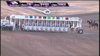 Retama Park Race 5  August 4 2023 [upl. by Keheley]