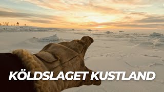 35ºC Den där gången det var is till Finland i början av januari 4K [upl. by Kaiser]