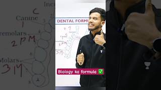 Dental 🦷 formula  Count your teeth shorts biologyshortshumanohysiology [upl. by Pax]