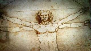 1 Vitruvian Man  The Beauty of Diagrams [upl. by Anikas697]