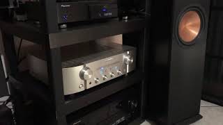 Marantz PM 8005 amp Klipsch RP280F [upl. by Ihpen161]