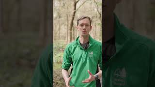 Ecosystem engineers  Wyre Forest Beavers [upl. by Secnarfyram]