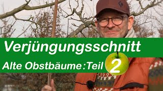 Verjüngungsschnitt  Alte Obstbäume schneiden  Teil 2 [upl. by Tamma]