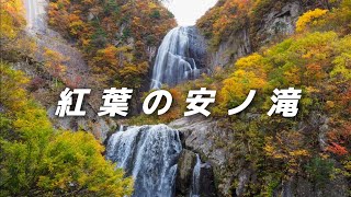 【秋田県北秋田市】紅葉の安ノ滝🍁中ノ又渓谷に行ってきました☆奥阿仁の自然美 [upl. by Bremer231]