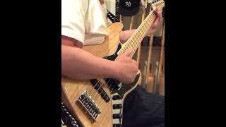 Larnell Lewis  Change Your Mind  MonoNeon Bass Cover  Sire V7 2nd generation 5 strings Modified [upl. by Callum]