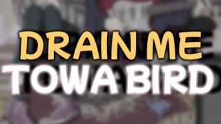 Towa Bird quotDrain Mequot  Lyrics [upl. by Ellehcim]