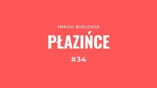 Płazińce [upl. by Danita737]