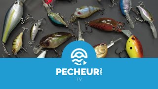 Quels leurres pour débuter la pêche des carnassiers  Tutoriel Pecheurcom [upl. by Alamaj754]