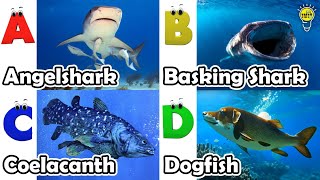 ABC phonics animals  ABC Sea Animals song  English and Animals for Kids  Alphabets Kids Song [upl. by Darelle998]