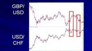 Forex Trading Vs Hedging Schemes [upl. by Nawad]