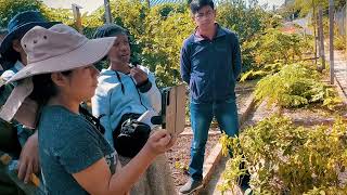 Agricultura Orgánica  ¿Cómo Cultivar tu Huerto sin Químicos Nocivos [upl. by Romeyn]