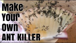 How To Make Homemade ANT KILLER [upl. by Lledyr222]