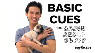 PetSmart Puppy Training Basic Cues [upl. by Akira]